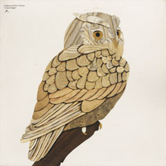 ���Ã��R�[�h